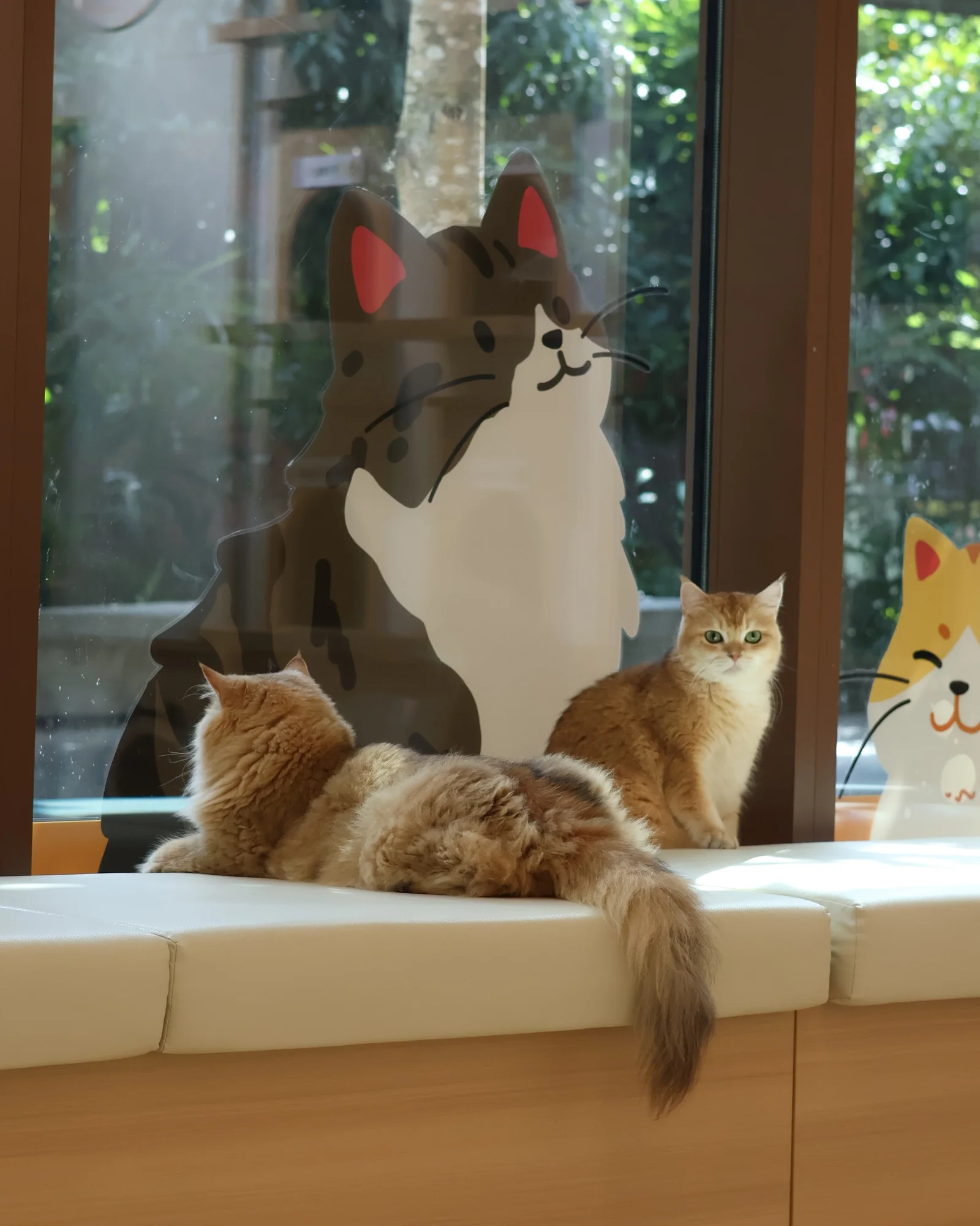 Cat Cafe
