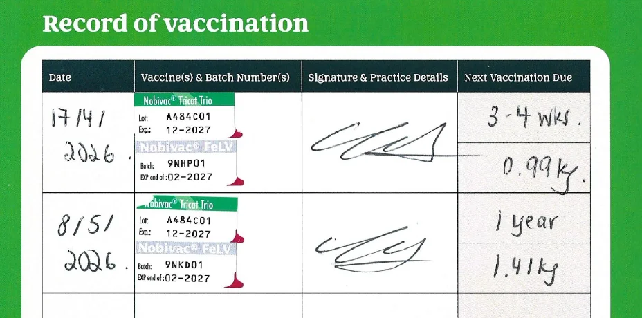 Xenon vaccination record: Nobivac Tricat Trio and Nobivac FeLV, 17 Apr and 8 May 2026
