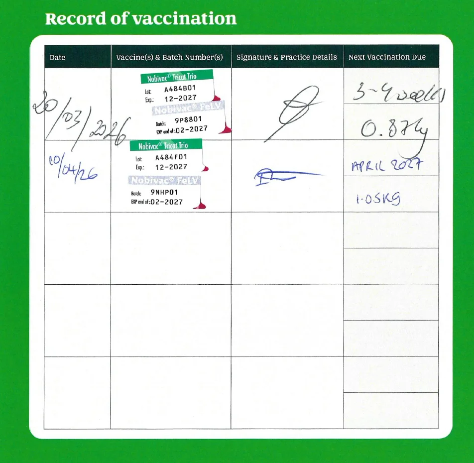 Waffle vaccination record: Nobivac Tricat Trio and Nobivac FeLV, 20 Mar and 10 Apr 2026