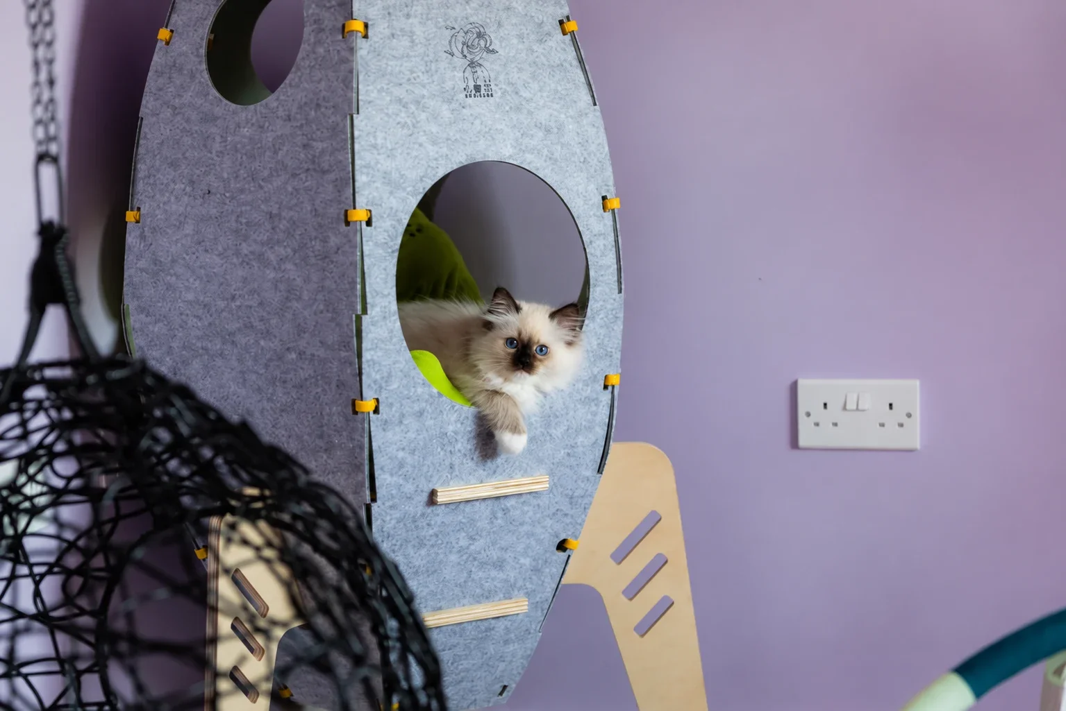 A cat peeking from a grey indoor hideaway.