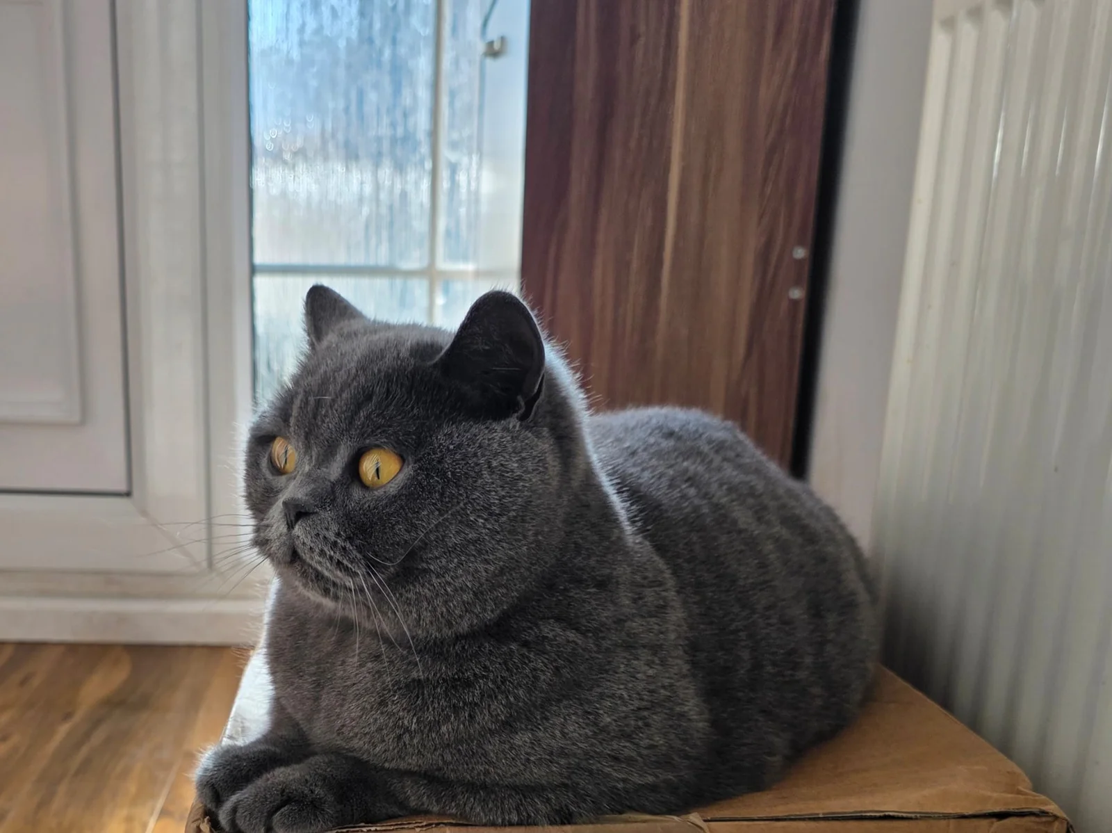 Smokey