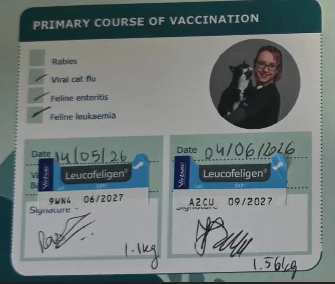 CupCake vaccination record: Leucofeligen primary course, 14 May and 4 Jun 2026