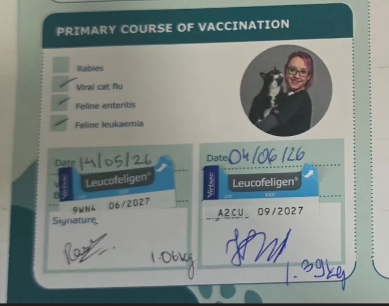 HoneyComb vaccination record: Leucofeligen primary course, 14 May and 4 Jun 2026