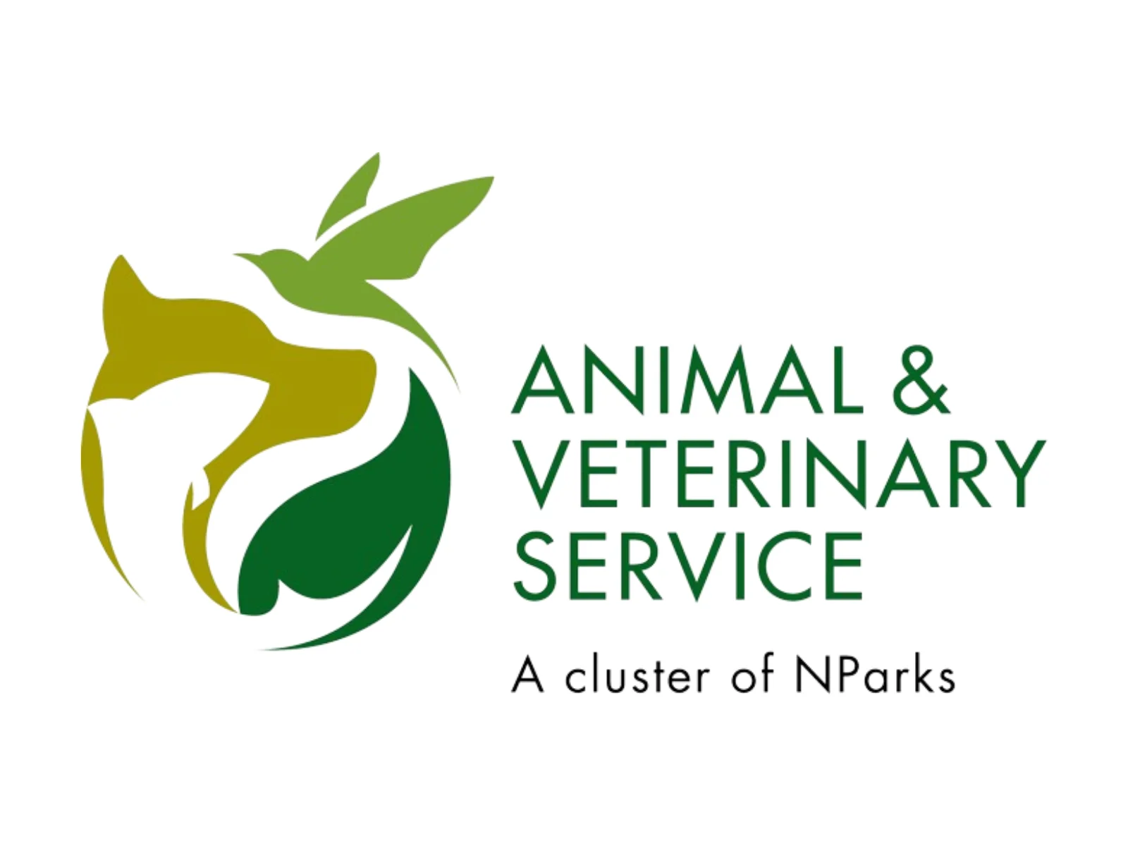 AVS Licensed Cattery – AS25E00023