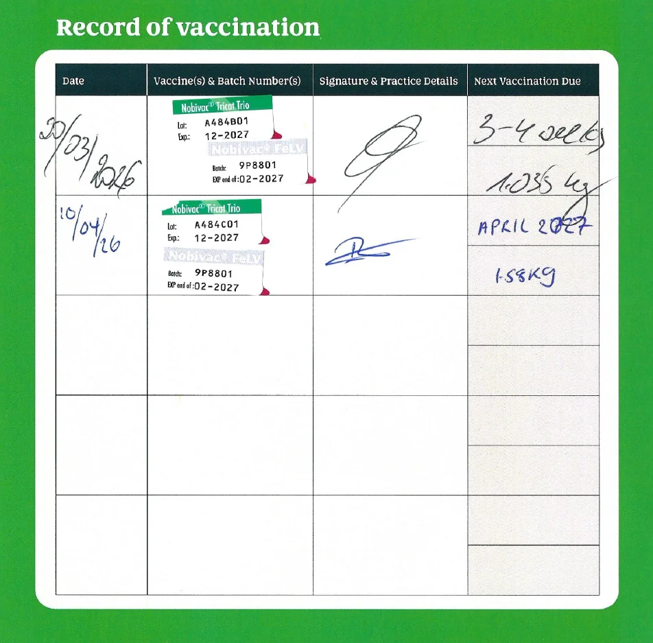 Wonton vaccination record: Nobivac Tricat Trio and Nobivac FeLV, 20 Mar and 10 Apr 2026