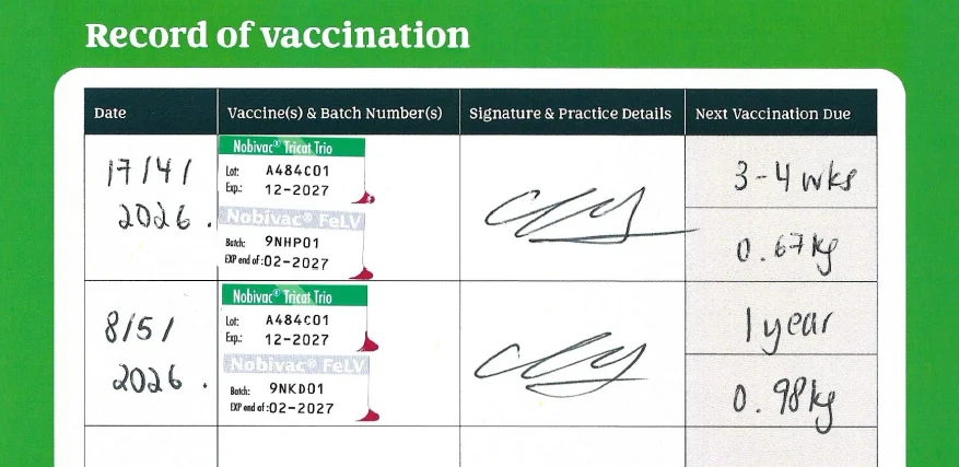 Xander vaccination record: Nobivac Tricat Trio and Nobivac FeLV, 17 Apr and 8 May 2026