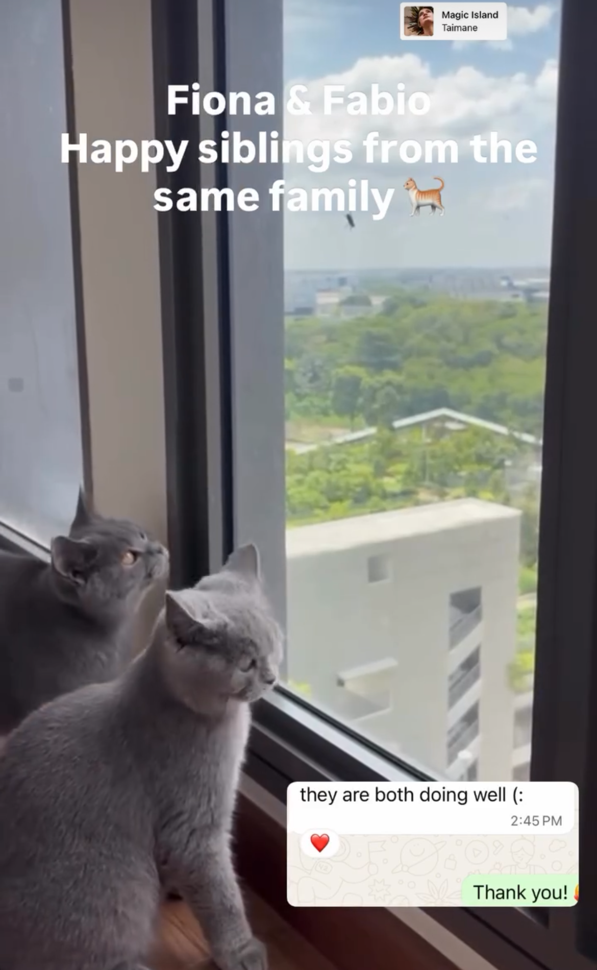they are both doing well (:
❤️