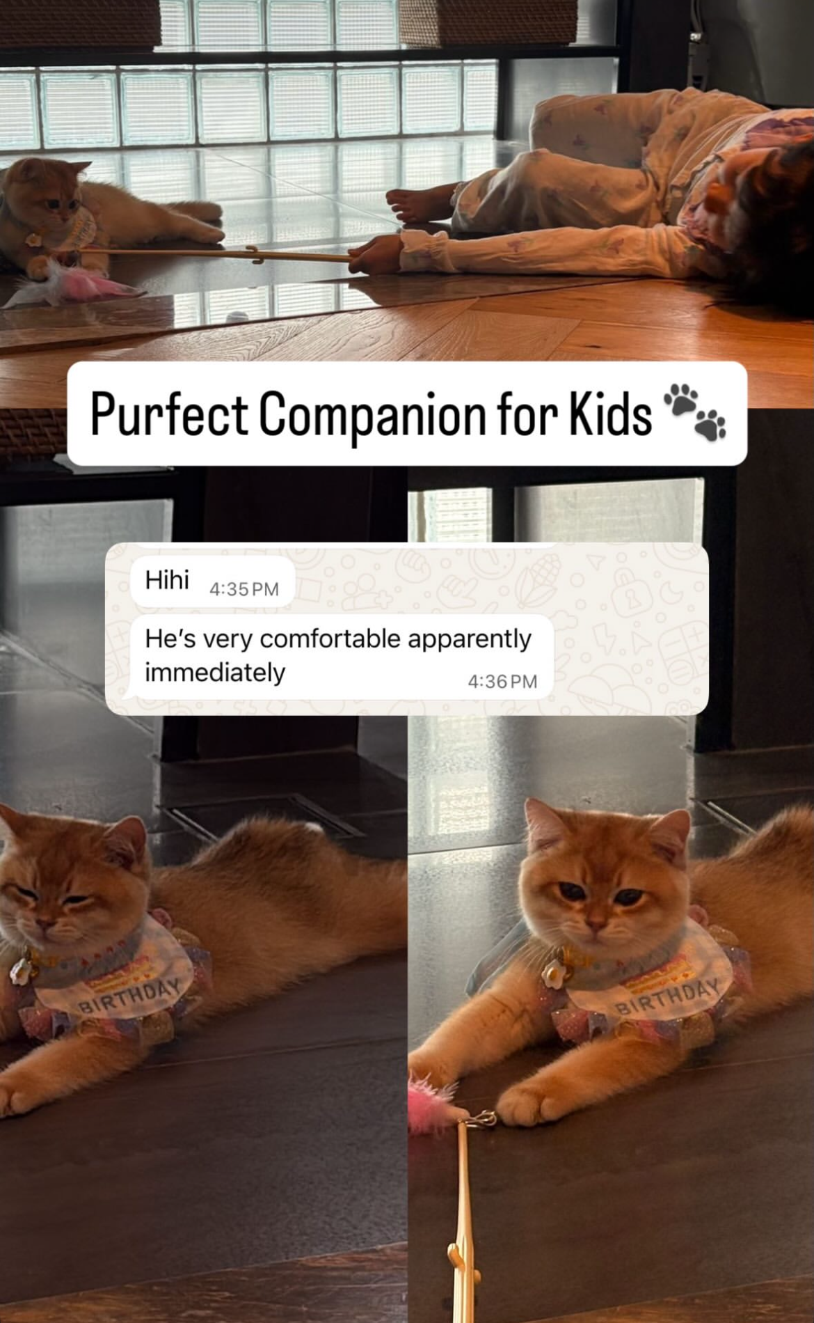 Hihi
He’s very comfortable apparently immediately
