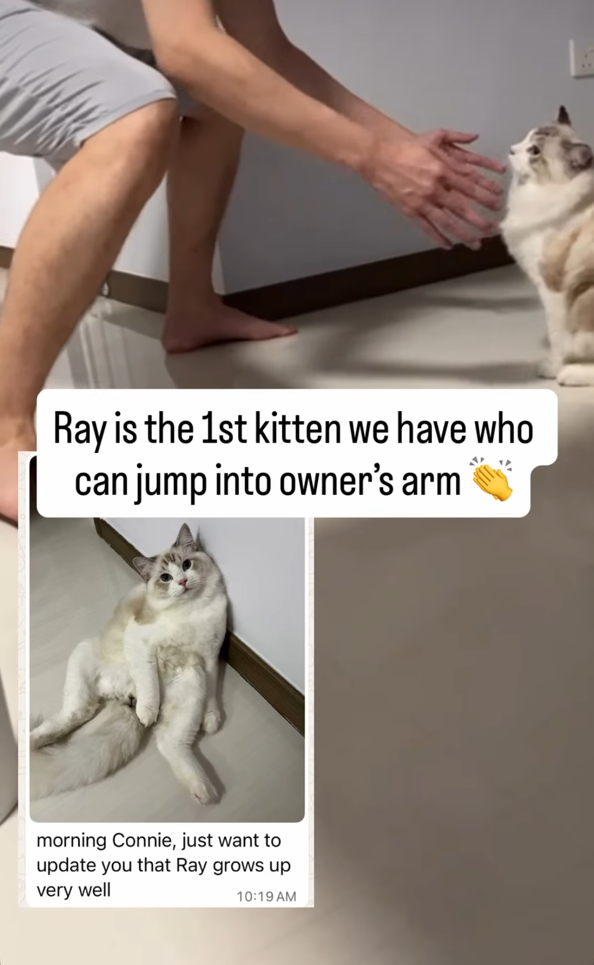 morning Connie, just want to update you that Ray grows up very well