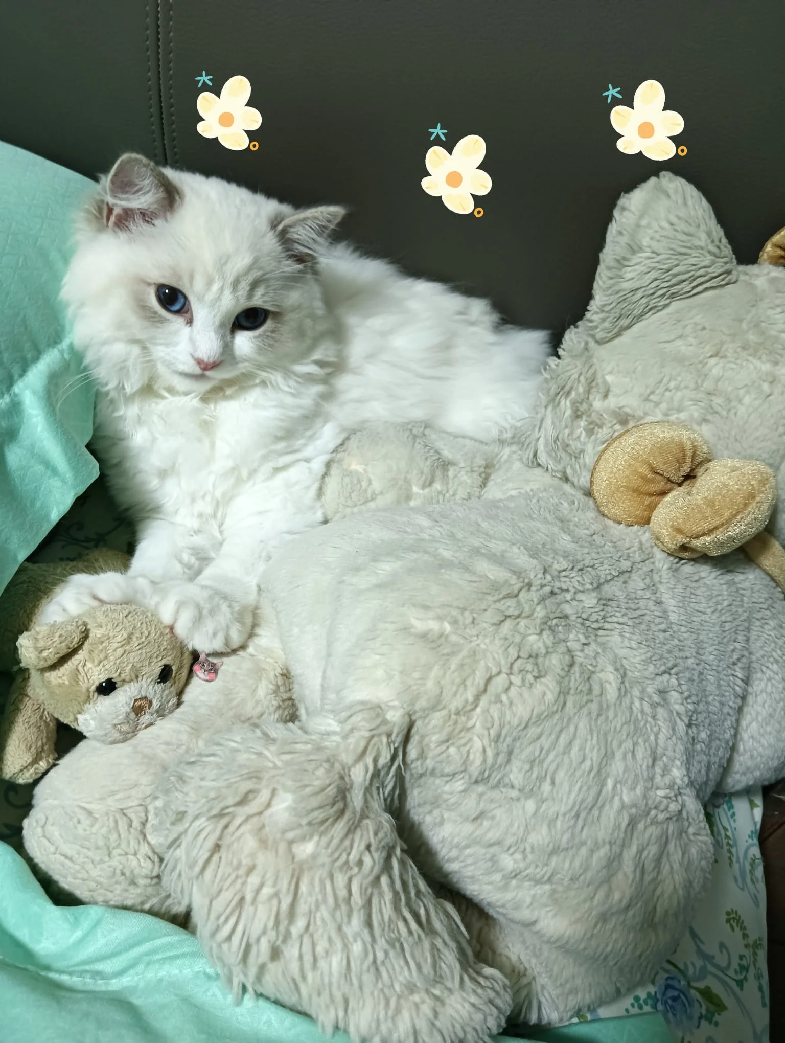 The calm little angel we were hoping for